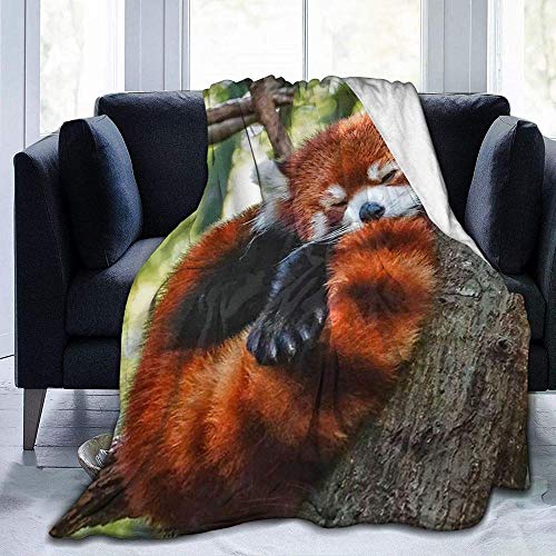 YuLiZP Decke Wohn Kuscheldecken Schlafender Roter Panda Flauschige Decke Ganzjährig Leicht Und Weich Bequeme Wohnkultur Decke Bett Sofa Stuhl Geeignet Für Erwachsene Und Kinder-80X60 Inch von YuLiZP