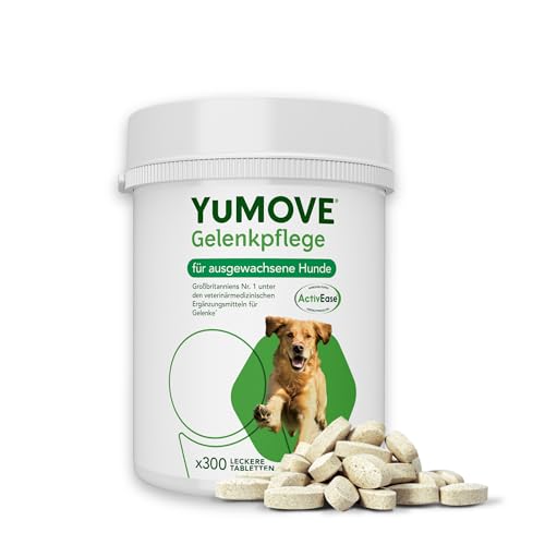 YuMOVE Grünlippmuschel Hund Gelenktabletten - 300 Tabletten - Beweglichkeit und Gelenkfunktion - Gelenktabletten für Erwachsene Hunde - Gelenktabletten für Hunde mit Omega-3 und Hyaluronsäure von Yumove