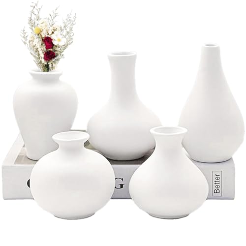 Mini Vasen Set Keramik Weiß 5er Kleine Vasen für Tischdeko Mini Porzellan Vase Keramik Vase Weiss Matt Moderne Deko Vase Weiß für Blumen Pampasgras Wohnzimmer Eingangs und Tisch Dekoration von Yuaaoh