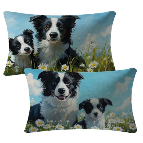 Kissenbezug 40x80 cm Blau Kissen 2er Set Sofakissen Samt Kissenbezug Hund Dekokissen Doppelseitiger Gedruckte Kissenhüllen für Outdoor Garten Couch Bett Patio Auto Herbst Dekoration Geschenke 2m-406 Kissenbezug 40x80 cm Blau Kissen 2er Set Sofakissen Samt Kissenbezug Hund Dekokissen Doppelseitiger Gedruckte Kissenhüllen für Outdoor Garten Couch Bett Patio Auto Herbst Dekoration Geschenke 2m-406 von Yuammgxi