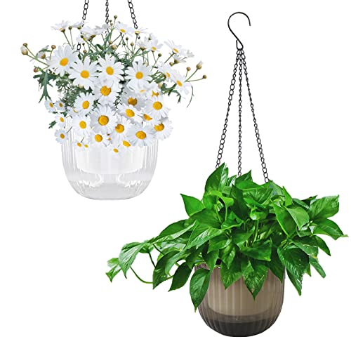 YuanDiann Hängend Blumentopf 2er Set, Selbstbewässernder Baumwollseil Hängepflanztopf Blumenampeln zum Aufhängen für Pflanzen Innen, Auße Transparent + Grau ø16.5cm x 15cm von YuanDiann