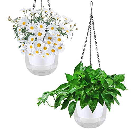 YuanDiann Hängend Blumentopf 2er Set, Selbstbewässernder Baumwollseil Hängepflanztopf Blumenampeln zum Aufhängen für Pflanzen Innen, Auße Transparent# ø21cm x 20cm von YuanDiann