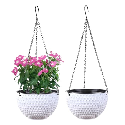 YuanDiann Hängende Blumentöpfe 2er Set, Selbstbewässerung Hängepflanztöpfe mit Wasserspeicher & Ablaufloch Bienenwabe Blumenampel mit Rostfrei Ketten für Innen Außen Decken Balkone Deko Weiß L YuanDiann Hängende Blumentöpfe 2er Set, Selbstbewässerung Hängepflanztöpfe mit Wasserspeicher & Ablaufloch Bienenwabe Blumenampel mit Rostfrei Ketten für Innen Außen Decken Balkone Deko Weiß L von YuanDiann