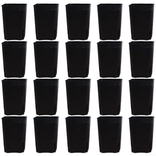 Yuanpgky Pflanztopf aus Kunststoff, inkl. Drainagelöchern, 16 x 12 x 12 cm, stapelbar, für Balkon, Terrasse, Garten, 20 Stück, in Schwarz und Weiß, quadratisch (schwarz) von Yuanpgky
