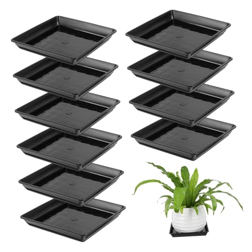 Yuanyifenglin Quadratische Pflanzen-Untersetzer, strapazierfähig, schwarz, für Innen- und Außenbereich, Garten, Blumentopf, Sukkulenten und Topf, 10 Stück von Yuanyifenglin