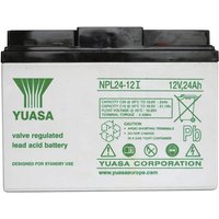 Yuasa NPL24-12 YUANPL24/12 Bleiakku 12V 24Ah Blei-Vlies (AGM) (B x H x T) 166 x 125 x 175mm M5-Schra von Yuasa