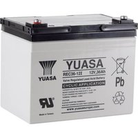 Yuasa REC36-12 YUAREC3612 Bleiakku 12V 36Ah Blei-Vlies (AGM) (B x H x T) 196 x 169 x 130mm M5-Schrau von Yuasa