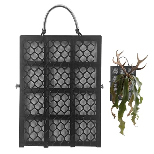 Yuecjian Staghorn Farn Montage Set, Staghorn Farn Platte Wandhalterung, Platycerium Orchideen Montage Wohndekoration für Garten Innenraum Außenbereich Büros Wohnheime Schlafzimmer Balkon Terrasse Yuecjian Staghorn Farn Montage Set, Staghorn Farn Platte Wandhalterung, Platycerium Orchideen Montage Wohndekoration für Garten Innenraum Außenbereich Büros Wohnheime Schlafzimmer Balkon Terrasse von Yuecjian