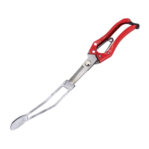 Yuecjian Süßkartoffel Pflanzer | Handpflanzhilfe,Pflanz Utensil Für Bauern Urbaner Haushalt Terrasse Balkon Gemeinschaftsgarten Gärtnereien Zum Pflanzen Von Setzlingen von Yuecjian