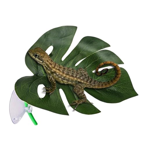 Yuecjian Terrarium Deko - Blattförmige Terrarienpflanzen,Amphibien Deko Für Nachttische Schlafzimmer Hotel Garten Eingangsbereich Yuecjian Terrarium Deko - Blattförmige Terrarienpflanzen,Amphibien Deko Für Nachttische Schlafzimmer Hotel Garten Eingangsbereich von Yuecjian