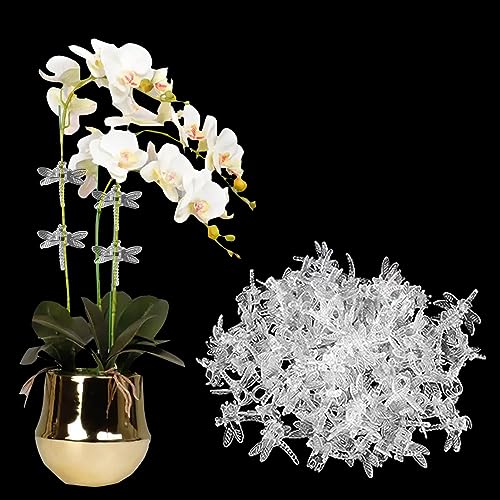 100 Stück Orchideenklammern, Kunststoff-Libellen-Form, Pflanzenstiel-Clips für Kletterpflanzen, Stützschnur, Pflanzenwachstum, Stützklammern, aufrecht, Blumen, Gartenwerkzeuge (transparent weiß) von Yuecoom