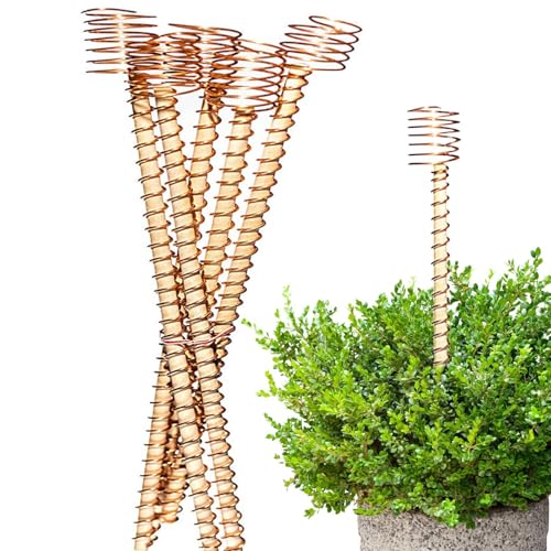Yuemeuy Elektrokultur Kupfer Antenne Für Gartenpflanzen, 6 Stück Lange Kupfer-Gartenantennen, 30 cm Elektronische Gartenstäbe Für Gemüse, & Balkonpflanzen Mit Ertragssteigerung von Yuemeuy