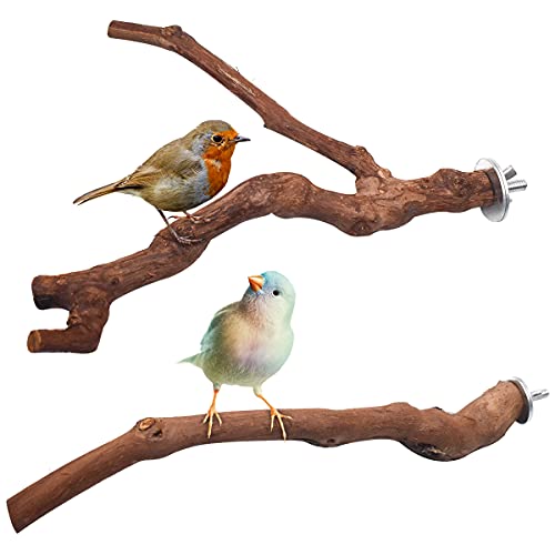 Yueser Vogel Barsch Papagei Spielzeug, 2 Stück Wildes Traubenholz Sitzstangen Natur Sitzstangen für Vögel Papageienspielzeug Holzstangen für Vögel Wie Wellensittich Kanarienvogel Naturholzstangen von Yueser