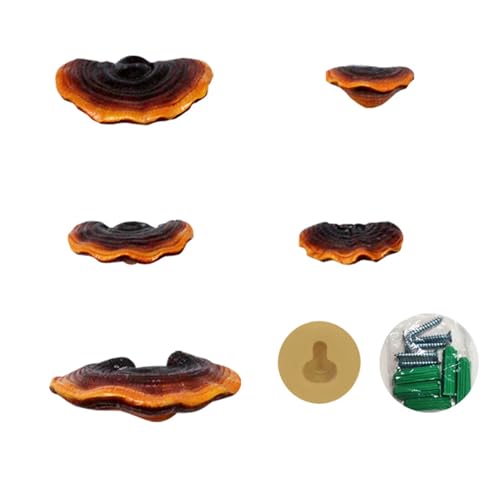 Yuezhongoo Resin Simulation Mini Reishi Mushroom Shelf Set for Cottage - style Outdoor Decor. Made of weather - resin, it's and easy to install Yuezhongoo Resin Simulation Mini Reishi Mushroom Shelf Set for Cottage - style Outdoor Decor. Made of weather - resin, it's and easy to install von Yuezhongoo