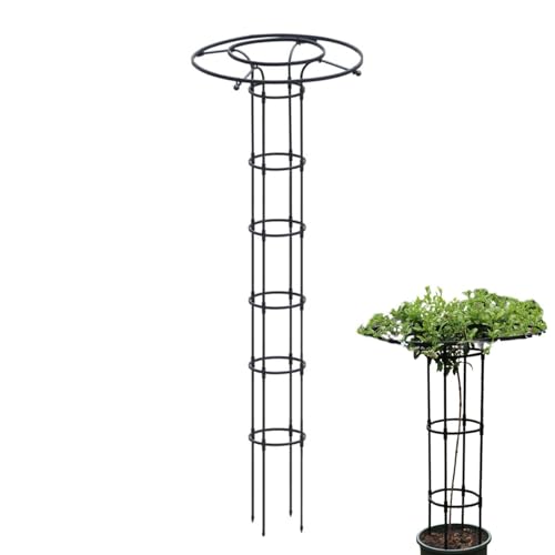 Outdoor Rankgitter Für Kletterpflanzen, Vertikales Pflanzen Spalier Für Gemüse, Metall Rankhilfe Mit Säulenform Für Blumen, Zimmerpflanzen & Rankgewächse Outdoor Rankgitter Für Kletterpflanzen, Vertikales Pflanzen Spalier Für Gemüse, Metall Rankhilfe Mit Säulenform Für Blumen, Zimmerpflanzen & Rankgewächse von Yugugomo