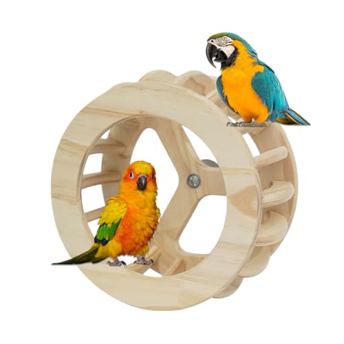 Vogelkäfig Spielzeug - Drehbarer Spielzeug Vogel Holz Sitzstand - Stehhilfe Interaktives Für Nymphensittiche Sittiche Kanarienvögel Wellensittiche Tauben Unzertrennliche Haustiere Vogelkäfig Spielzeug - Drehbarer Spielzeug Vogel Holz Sitzstand - Stehhilfe Interaktives Für Nymphensittiche Sittiche Kanarienvögel Wellensittiche Tauben Unzertrennliche Haustiere von Yugugomo