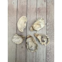 Fünf Austernschalen - Tischdeko von YukiwariSouShop