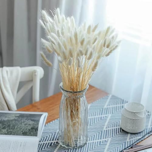 60 Stück 40cm Natürlich Lagurus Ovatus Gräser Getrocknete Hasenschwanzgras Gräser Bambus Samtgras Getrocknetes Pampasgras Deko Pflanze Home Decor Ruscus Trockenblumen Künstlich Klein Dried Flowers von Yukiyi