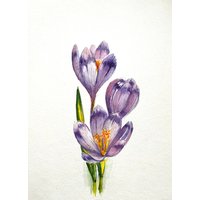 Krokusse Original Aquarell Malerei Wand Kunst Wohnkultur Geschenk Für Mutter Bestes Freund Schwester von YuliiaMykhaliukArt