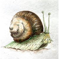 Schnecke Aquarell Original Gemälde Wandkunst von YuliiaMykhaliukArt