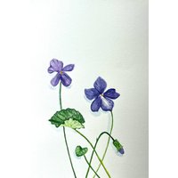 Viola Original Aquarell Malerei Wand Kunst Einweihungsparty Geschenk Wohnkultur Für Mutter Schwester Oma Viola Original Aquarell Malerei Wand Kunst Einweihungsparty Geschenk Wohnkultur Für Mutter Schwester Oma von YuliiaMykhaliukArt