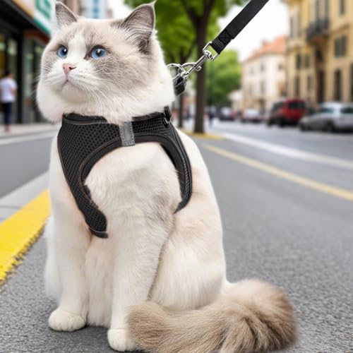 Yulokdwi Ausbruchssicheres Katzengeschirr,Einstellbares Katzen Westen Geschirr | Größen S M L Für Wanderungen Training Reisen Outdoor Yulokdwi Ausbruchssicheres Katzengeschirr,Einstellbares Katzen Westen Geschirr | Größen S M L Für Wanderungen Training Reisen Outdoor von Yulokdwi