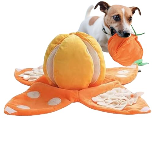 Yulokdwi Hund Schnüffelteppich | Hunde Schnüffelmatte | Schnüffelspiel Mit Knisterpapier Plüsch Orange Futterverstecken Selbstbeschäftigung Für Große Mittelgroße Senioren Rassen Geruchssinn Yulokdwi Hund Schnüffelteppich | Hunde Schnüffelmatte | Schnüffelspiel Mit Knisterpapier Plüsch Orange Futterverstecken Selbstbeschäftigung Für Große Mittelgroße Senioren Rassen Geruchssinn von Yulokdwi