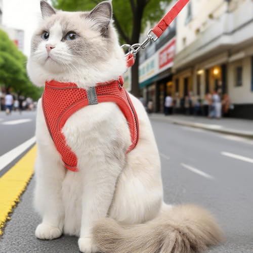 Yulokdwi Katzengeschirr | Einstellbares Katzen Westen Geschirr,Größen S M L Für Wanderungen Training Reisen Outdoor Yulokdwi Katzengeschirr | Einstellbares Katzen Westen Geschirr,Größen S M L Für Wanderungen Training Reisen Outdoor von Yulokdwi