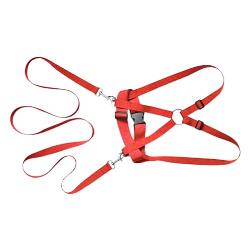 Yulokdwi Sicherheitsgeschirr - Verstellbares Kinderführungsgeschirr,Ergonomisches Anti-Verlauf-Geschirr Mit Führleine Für Outdoor, Spaziergänge, Camping & Abenteuer von Yulokdwi