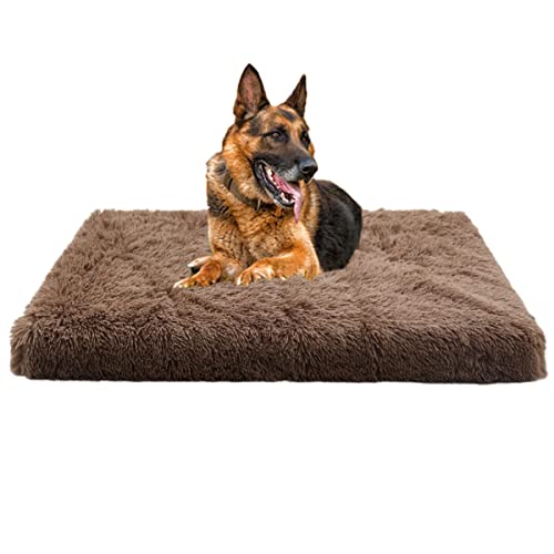 Yuly Flauschiges Hundebett mit Memory Foam,Orthopädische Hundekissen Große Hunde,Ergonomisches Hundesofa für Hunde und Katzen,Waschbar rutschfest Hundebetten(50x40cm) von Yuly