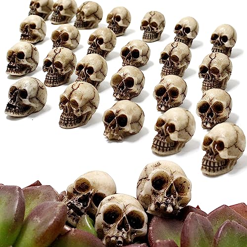 YumSur 20 Stück Harz Totenkopf Set Mini Totenkopf Figur Mini Schädel Totenkopf Modell Totenschädel Figur Deko Skelett Modell Landschaft Garten Topfpflanze Dekoration YumSur 20 Stück Harz Totenkopf Set Mini Totenkopf Figur Mini Schädel Totenkopf Modell Totenschädel Figur Deko Skelett Modell Landschaft Garten Topfpflanze Dekoration von YumSur