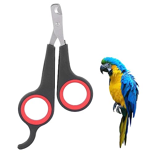 Yumech Vogel Nagel Clipper Pet Papagei Pflege Werkzeug Nagel Schere Clipper Pet Klaue Trimmer Pet Nagel Knipser Cutter Datei für Kleine Tiere Tiny Dog Kaninchen Vogel von Yumech