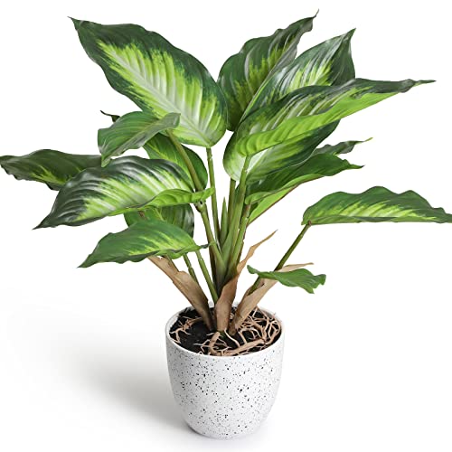 YunYite Künstliche Pflanzen,36cm Dieffenbachia Picta Mini Indoor-Topf Pflanzen Kunstplastik-Grünflanze, für Dekoratives Wohnzimmer Wohnung Balkon Büro von YunYite