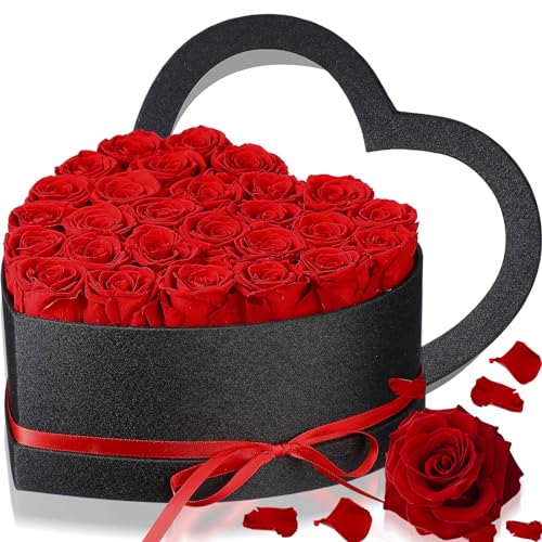 Yunlly 27 Stück konservierte Rosen in Herzform Box Ewige echte Blumen unsterbliche Rosen Blumenstrauß langlebige Blumen Box Geschenk für Mutter Frau Freundin Geburtstag Jahrestag (rot) von Yunlly