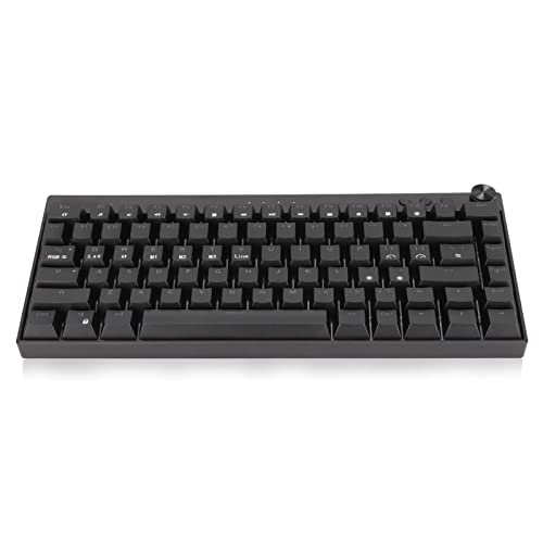 Yunseity 2.4G Wireless//Wired Black Mechanical Keyboard, 82-Key 3 Modes RGB Backlit Keyboard, Rechargeable Battery, for Windows, Andriod, IOS (Blauer Schalter) von Yunseity