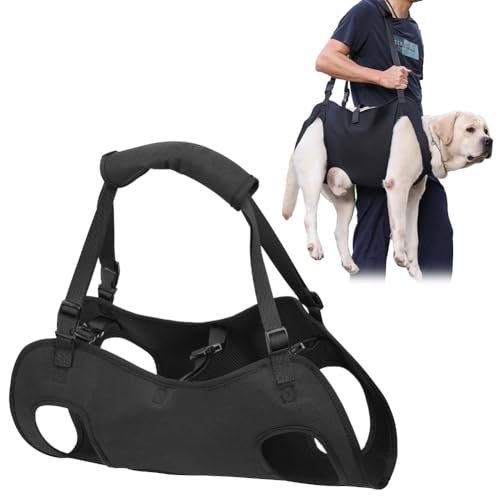 Yuragim Hunde Tragehilfe, Tragbares Hundegeschirr Treppe Verstellbare Tragehilfe Geschirr Hebegeschirr für Hinterbeine Hüftstütze mit Griffen Sicherheitsunterstützung für behinderte, verletzte Hunde von Yuragim