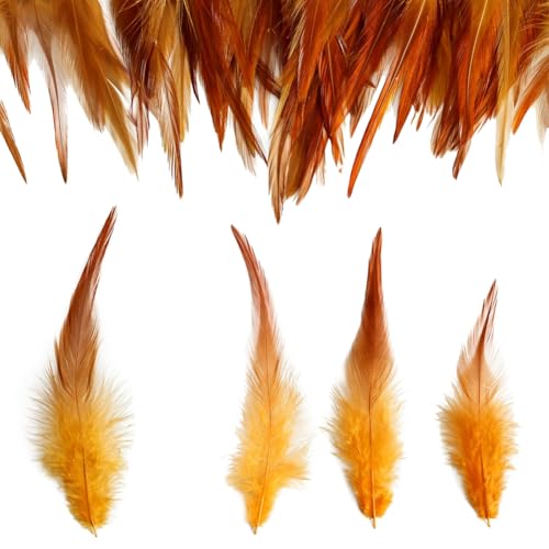 Yurosiay 50 Stück Bunte Federn 12-17cm Lang Federn zum Basteln Natürliche Federn Flauschige Federn Groß Bastelfedern DIY Deko Federn für Handwerk Traumfänger Hüte Haarschmuck Zuhause Gold von Yurosiay