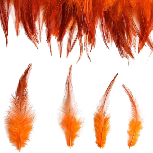 Yurosiay 50 Stück Bunte Federn 12-17cm Lang Federn zum Basteln Natürliche Federn Flauschige Federn Groß Bastelfedern DIY Deko Federn für Handwerk Traumfänger Hüte Haarschmuck Zuhause Orange von Yurosiay