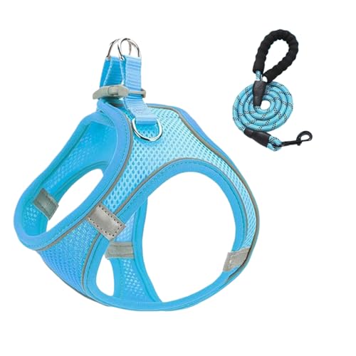 Yurosuis Hundegeschirr Und Leine - Netzgeschirr und Hundleinen Kombi,Atmungsaktives Ausbruchsicheres Geschirr Für Hunde Katzen Wandern Camping Ausflüge Training von Yurosuis