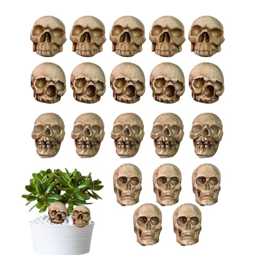 Yurosuis Miniatur Schädel Dekoration | Kleine Skelettkopf-Deko 20 Stück,Kleine Halloween Miniatur Schädel für die Verwendung in Geisterhaus, Pflanzgefäß, Tischdekoration und von Yurosuis
