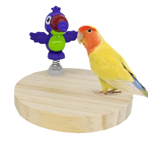 Yurosuis Vogelsitzstange,Knabberfeste Nymphensittich Sitzstange - Beschäftigungs Spielzeug Mit Natur Anti-Rutsch Für Hühner Conure, Innen Außen Spielplatz Yurosuis Vogelsitzstange,Knabberfeste Nymphensittich Sitzstange - Beschäftigungs Spielzeug Mit Natur Anti-Rutsch Für Hühner Conure, Innen Außen Spielplatz von Yurosuis