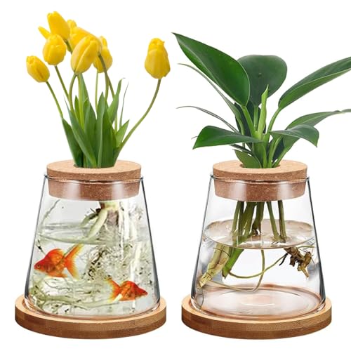 YushengTai 2 Stück Hydrokultur-Pflanzenvasen, Glasvase mit Sockel, Desktop-Transparente Vase, Pothos-Hydrokultur Töpfe, für Hydrokultur, Zuhause, Büro, Tischdekoration von YushengTai