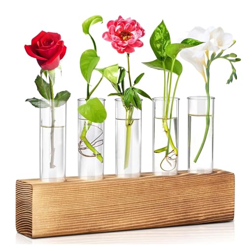 YushengTai Garten Geschenke für Frauen,Kleine Reagenzglas Vasen mit Ständer Holz von YushengTai
