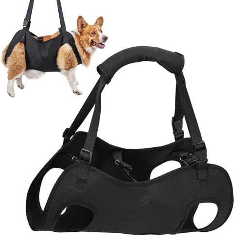 YushengTai Hunde Tragehilfe, Tragegeschirr Hund, Hundehebegeschirr, Hunderucksack bis 10 kg, Hundetragegurt, Tragegeschirr für Hunde, Haustierunterstützung, für behinderte, verletzte und ältere Hund von YushengTai