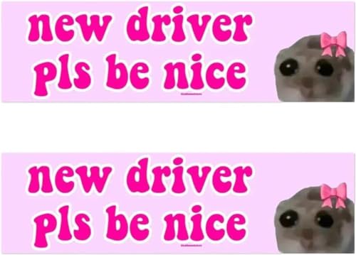 Nice Driver Car Sticker, Fahranfänger Schild, Neuer Fahrer Bitte sei nett, Anfänger Schild Auto, Selbstklebende Fahranfänger Aufkleber, lustiger Studentenfahrer-Aufkleber für Auto (2PCS) von YuuFcy