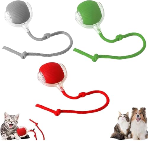 Interaktiver Katzenball - Elektrisches Katzenspielzeug Zur Selbstbeschäftigung, Automatisch Rollender Intelligenz Ball für Katzen Und Hunde (3 Stücke) Interaktiver Katzenball - Elektrisches Katzenspielzeug Zur Selbstbeschäftigung, Automatisch Rollender Intelligenz Ball für Katzen Und Hunde (3 Stücke) von YuuFcy