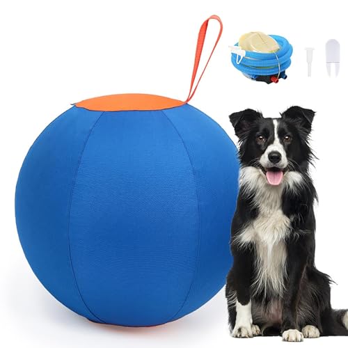 YuuFcy Herding Ball für Hunde - PVC Hundeball Mit Reißverschluss und Griff, 43cm Groß, Training Spiel für Mittelgroße und Große Hunde, Komplettes Set Mit Handpumpe (A) von YuuFcy
