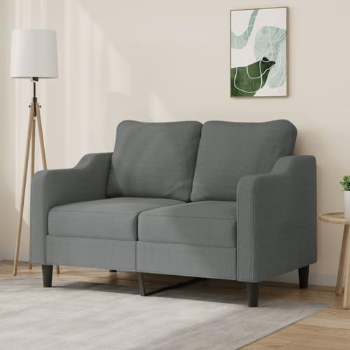 2-Sitzer-Sofa, Dunkelgrau Stoff, 120 cm Sitzbreite, Robustes Metallgestell, Bequeme Polsterung für Wohnzimmer, Modernes Design Schlafzimmer Couch von YuuSsea