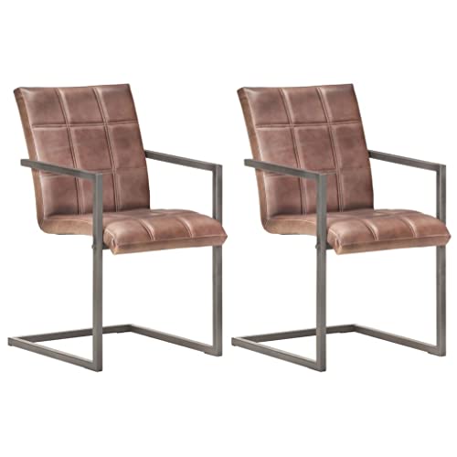 Esszimmer Freischwinger Stühle Set, 2 Stück, Braun Echtleder, Retro-Design für Küche & Esszimmer, Robustes Eisenrahmen-Möbelstück von YuuSsea
