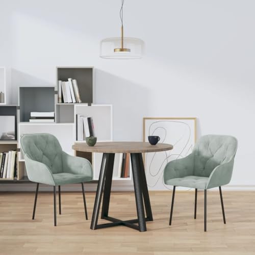 Esszimmerstühle 2er Set, Hellgrau Samt, Polsterstuhl mit Armlehnen, Robuster Metallrahmen, für Esszimmer Küche Wohnzimmer, Modern Design von YuuSsea